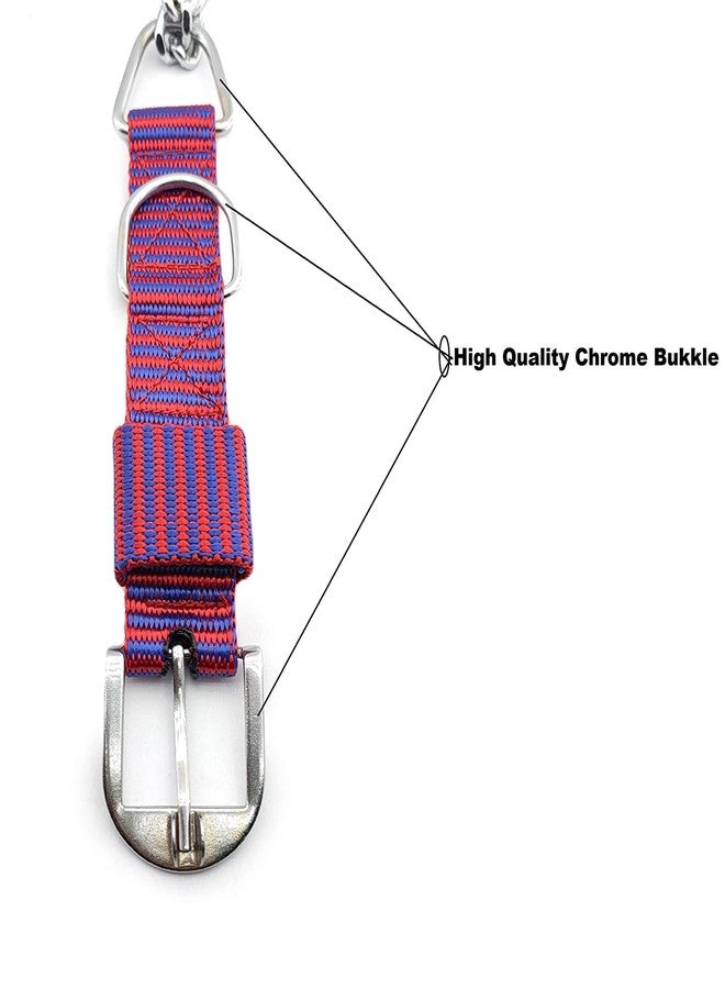 Pups&Pets طوق كلاب من Pups&Pets، متين وثقيل الوزن وقابل للتعديل، مصنوع من النايلون، نصف سلسلة ونصف طوق من الفولاذ المقاوم للصدأ، مقاس 1.55 بوصة، مقاس كبير جدًا (متعدد الألوان) للكلاب العملاقة والكبيرة. - Image 5